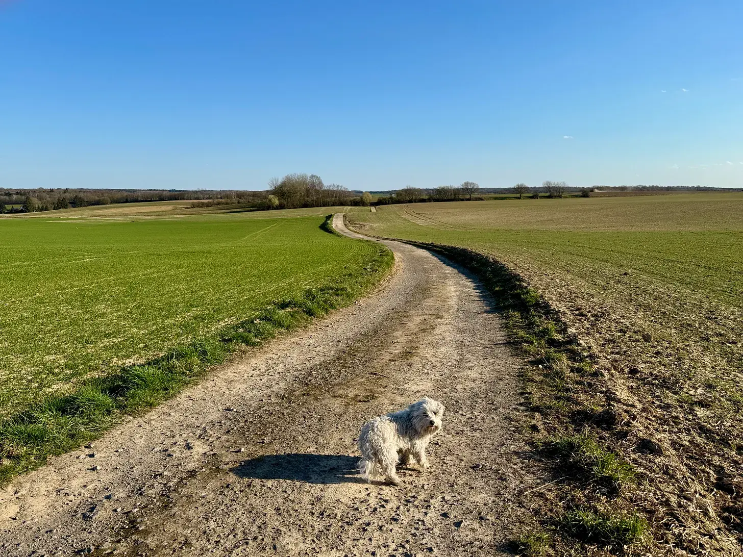 La Hulpe to Bousval