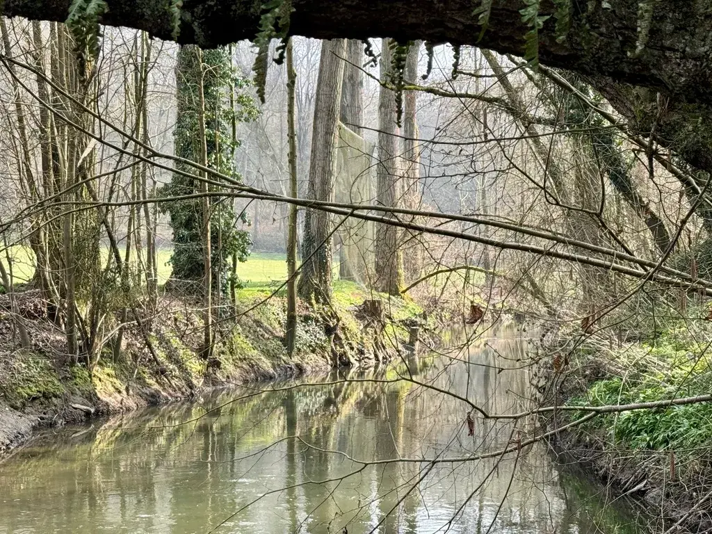 The Orneau River near Mazy