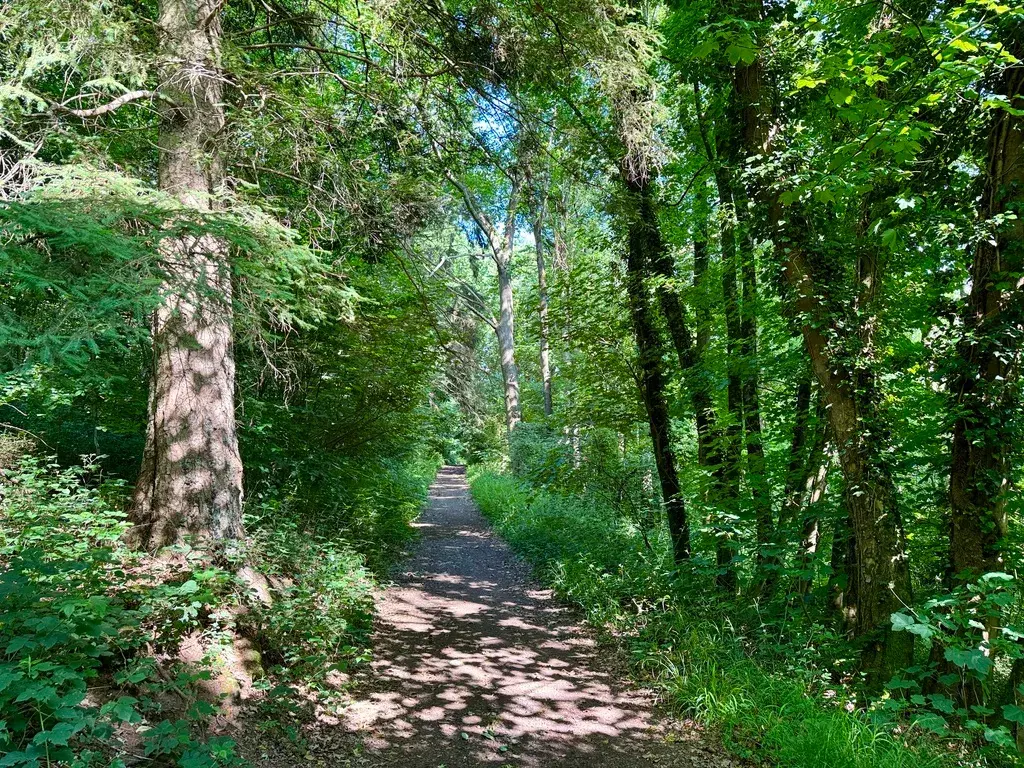 The descent to Godinne