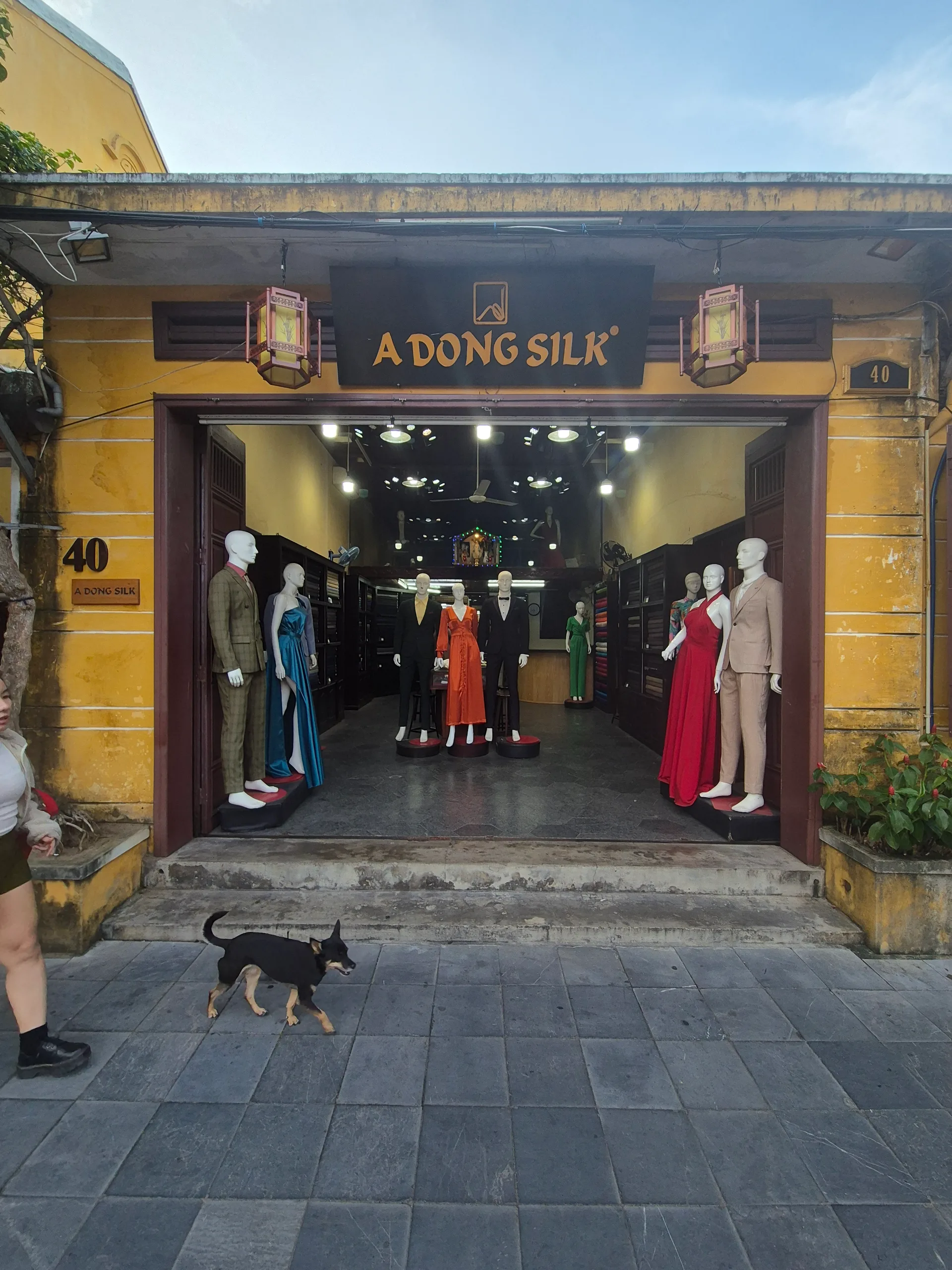 Măng Đen to Hội An