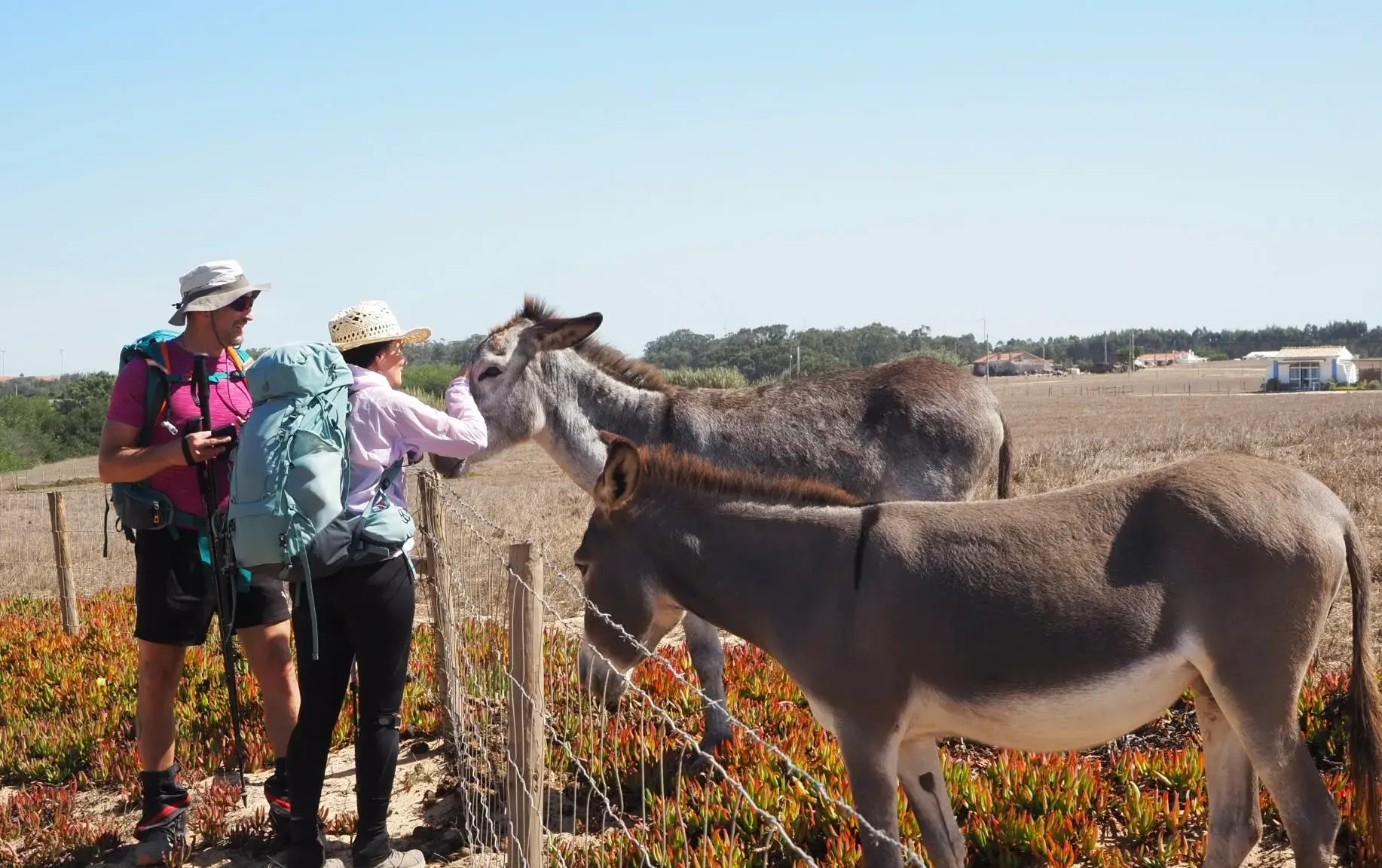 Hiking the Fishermen's Trail along Portugal's wild Atlantic coast