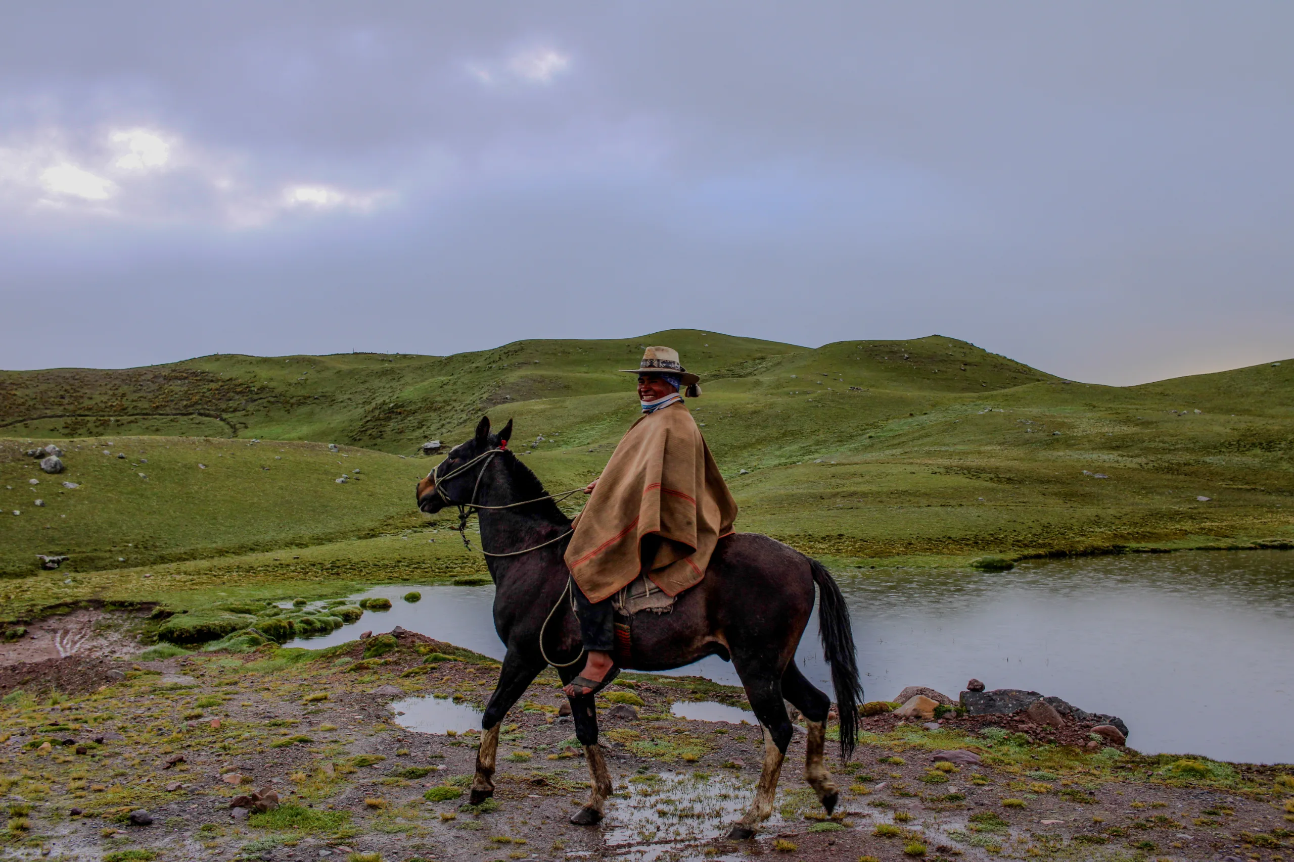 Local Herdsman
