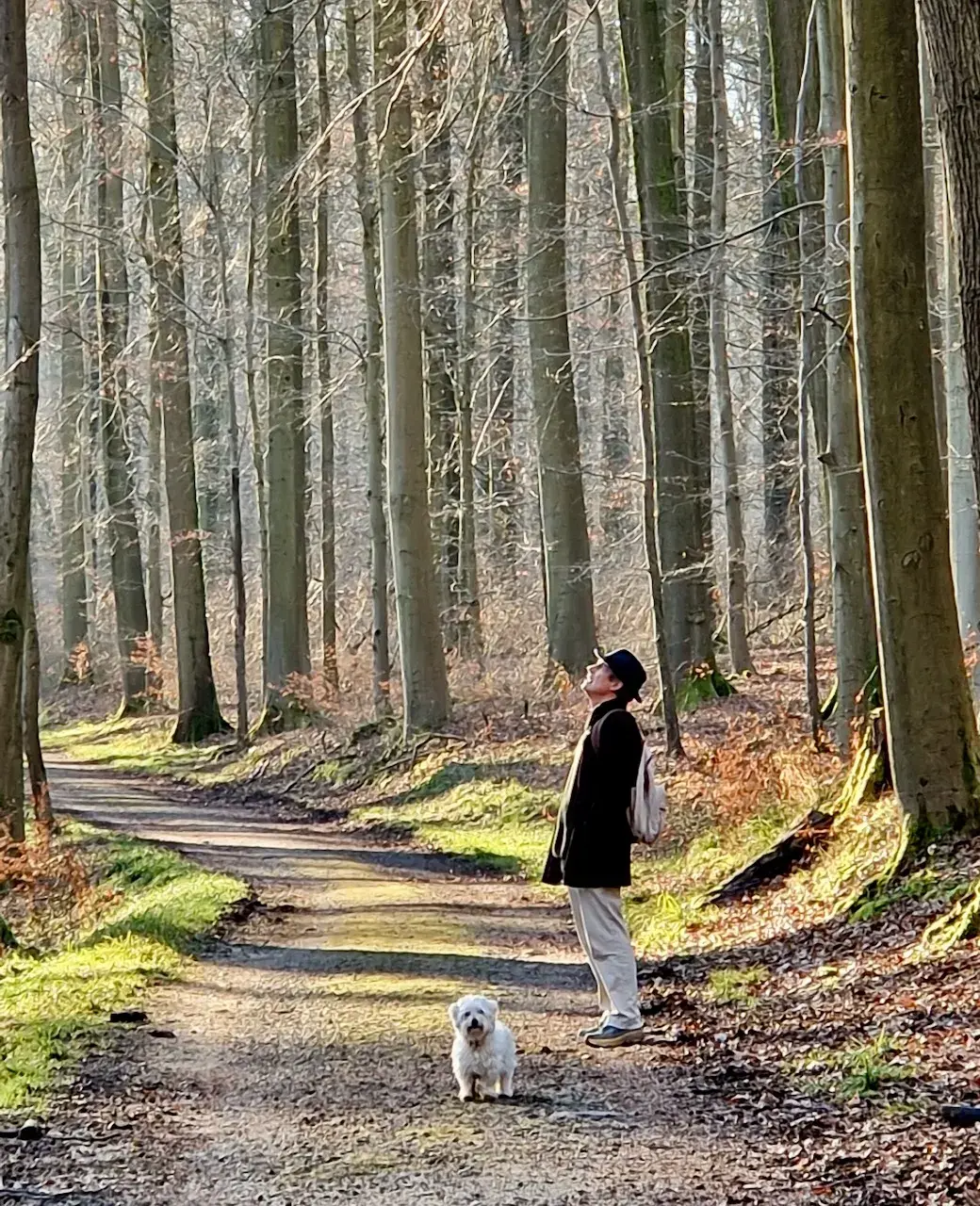 Groenendaal to La Hulpe