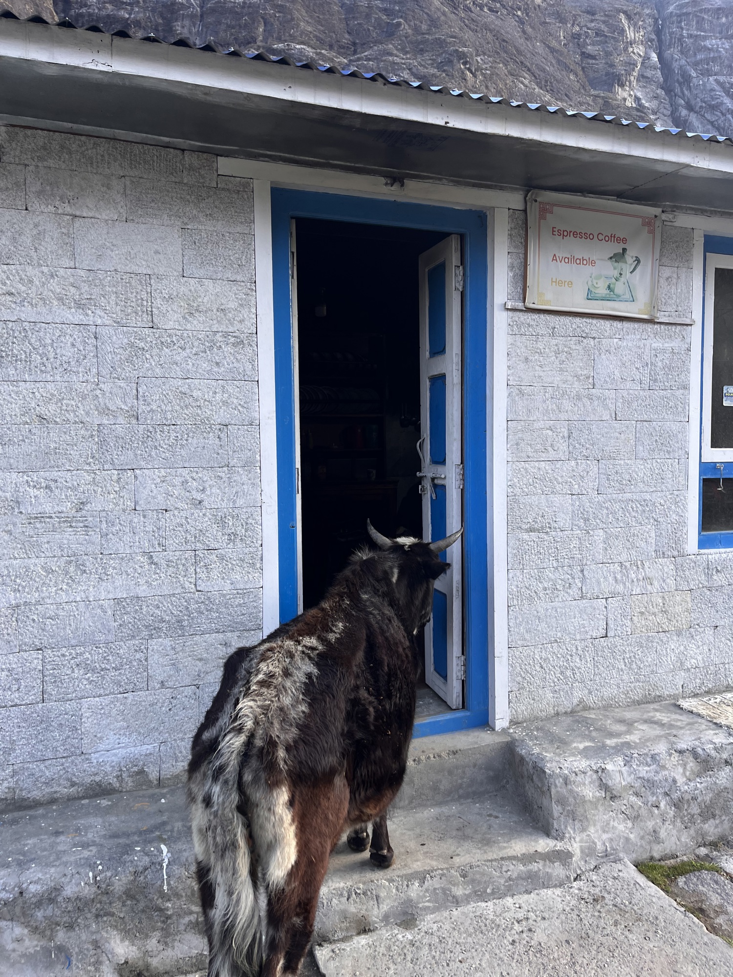 Langtang Valley trek 