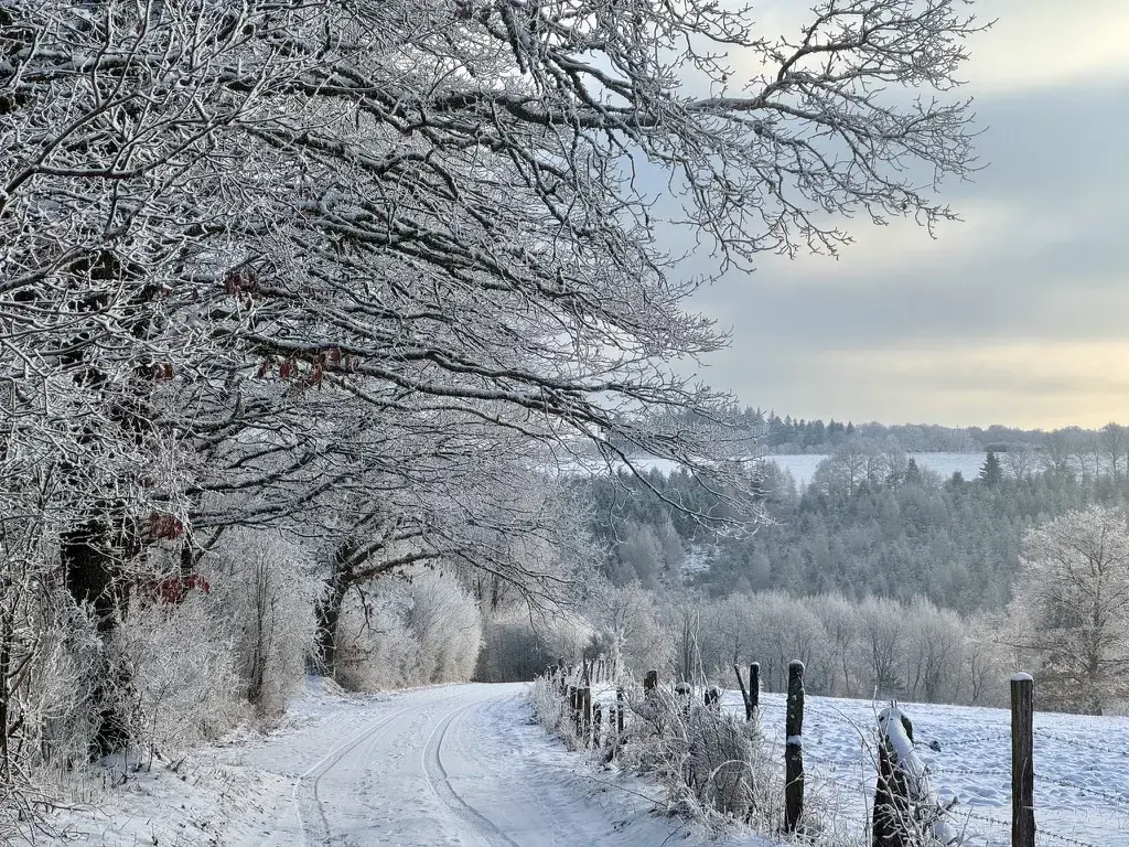 Near Anlier