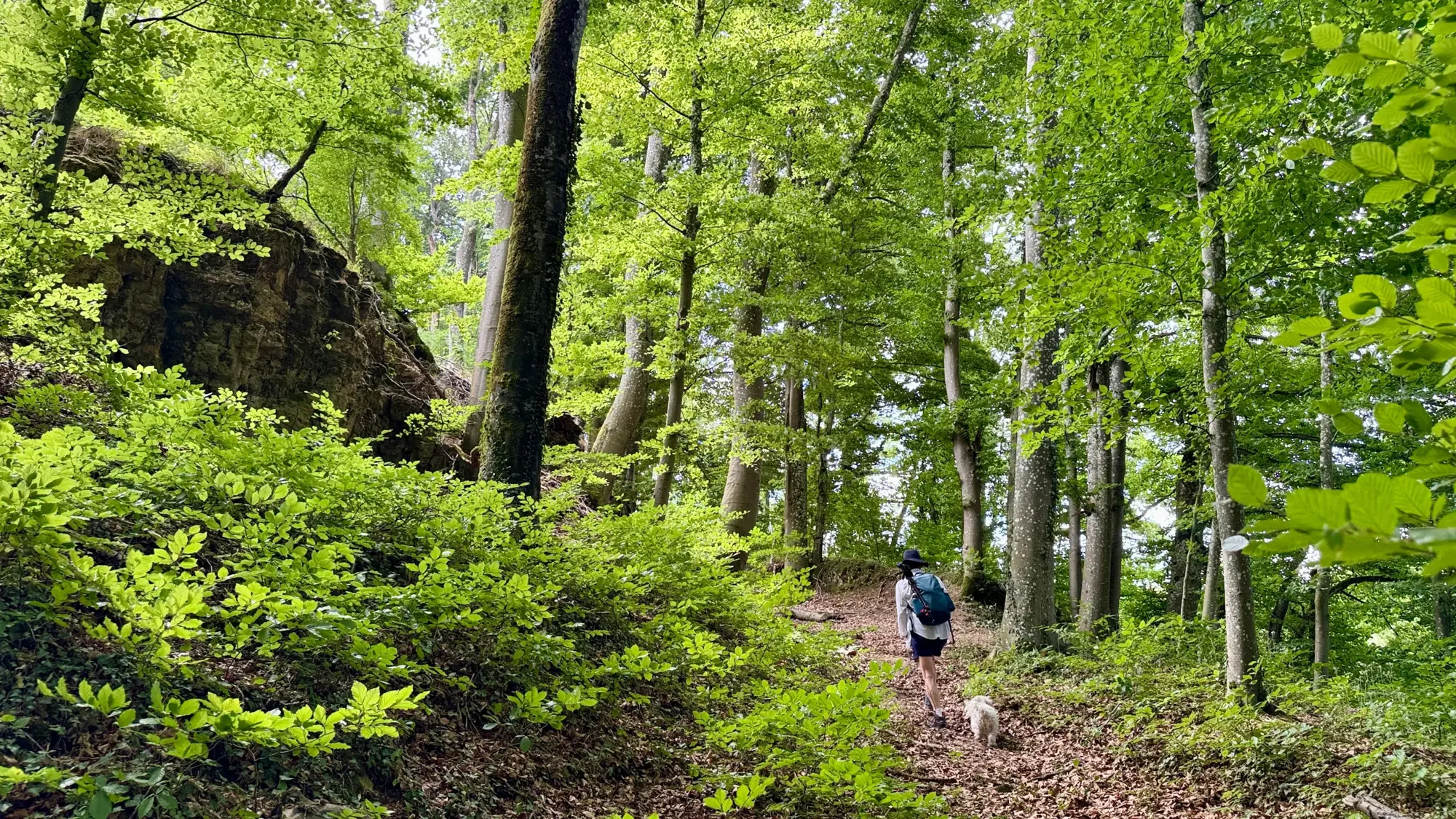 The Brux-to-Lux Trail