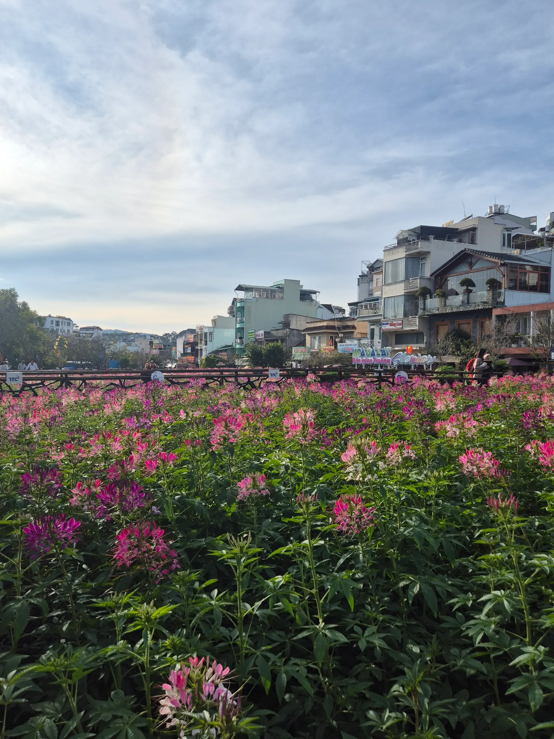 Ho Chi Minh City to Hanoi: 2,700 km on the Wrong Bike