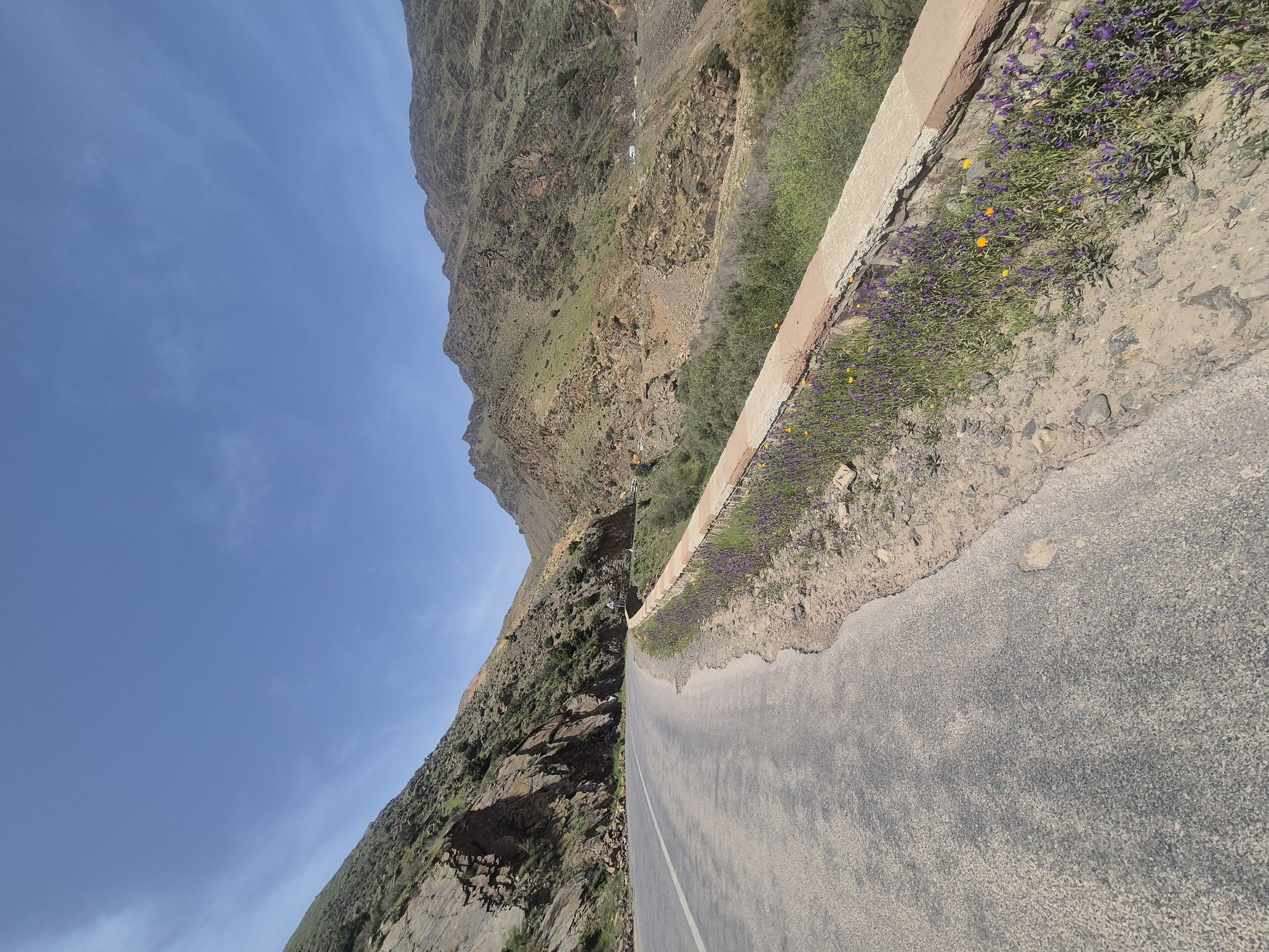 Ouirgane to Marrakech
