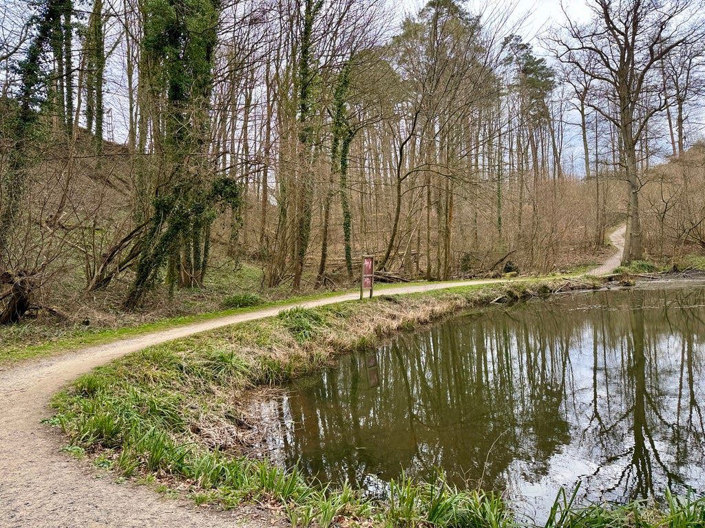 The path heading on south through the Fôret de Soigne (Zoniënwoud) from Boitsfort (Bosvoorde).