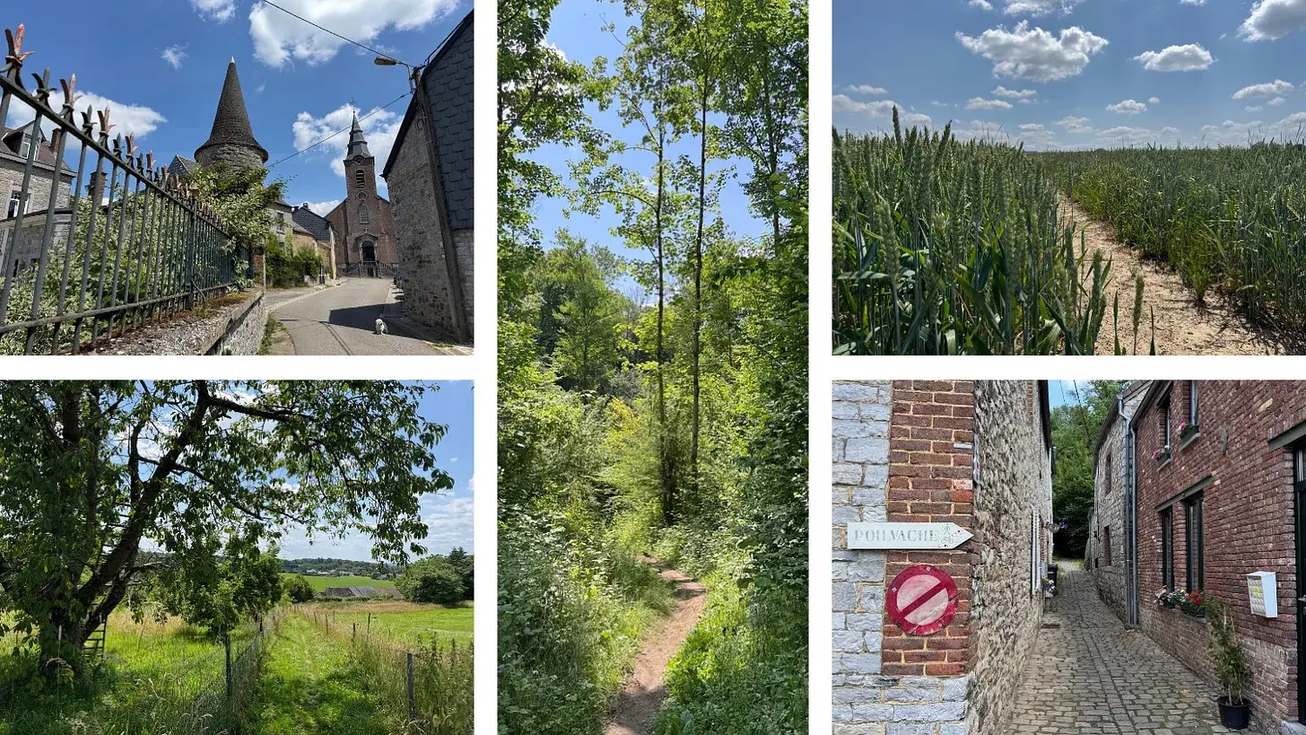 Evrehailles, Houx, and paths nearby